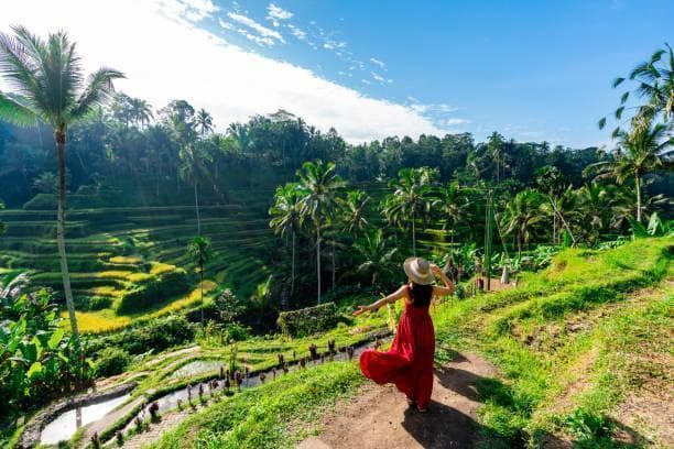 Ubud & Benoa Holiday, Multi-destination