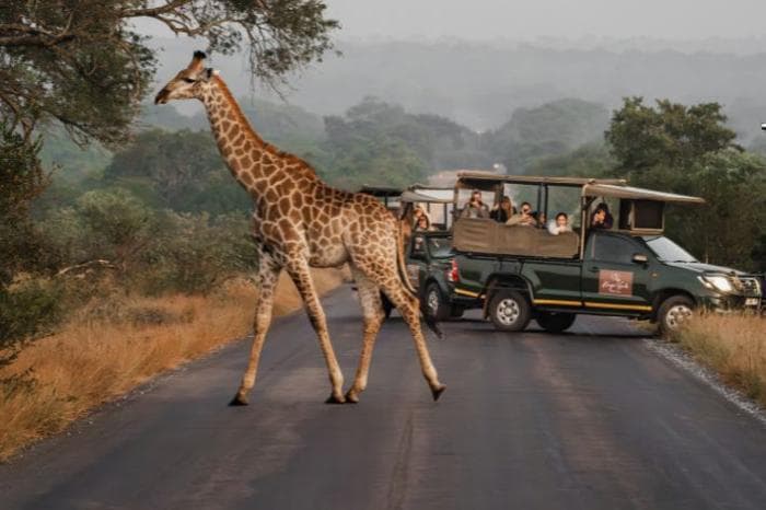 Kruger Gate Hotel, South Africa