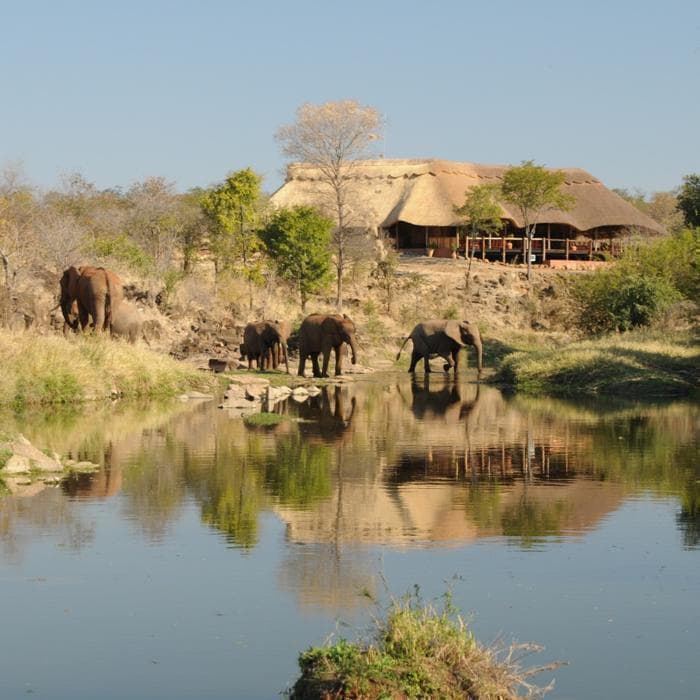 The Wallow Lodge, South Africa