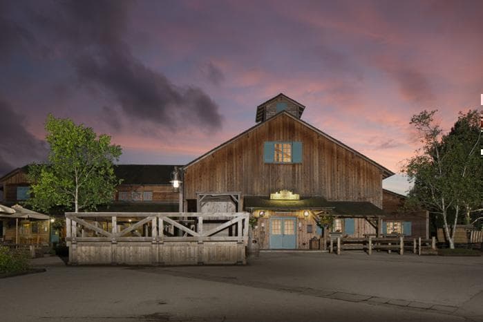 City Charm & Woodland Adventure: Paris and Disney's Davy Crockett Ranch, Europe