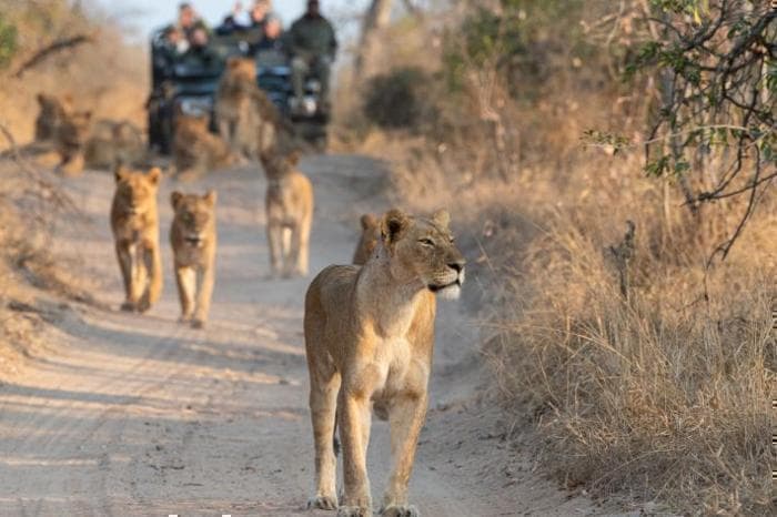 aha Skukuza Safari Lodge and Bahia Mar Boutique Hotel, Multi-destination